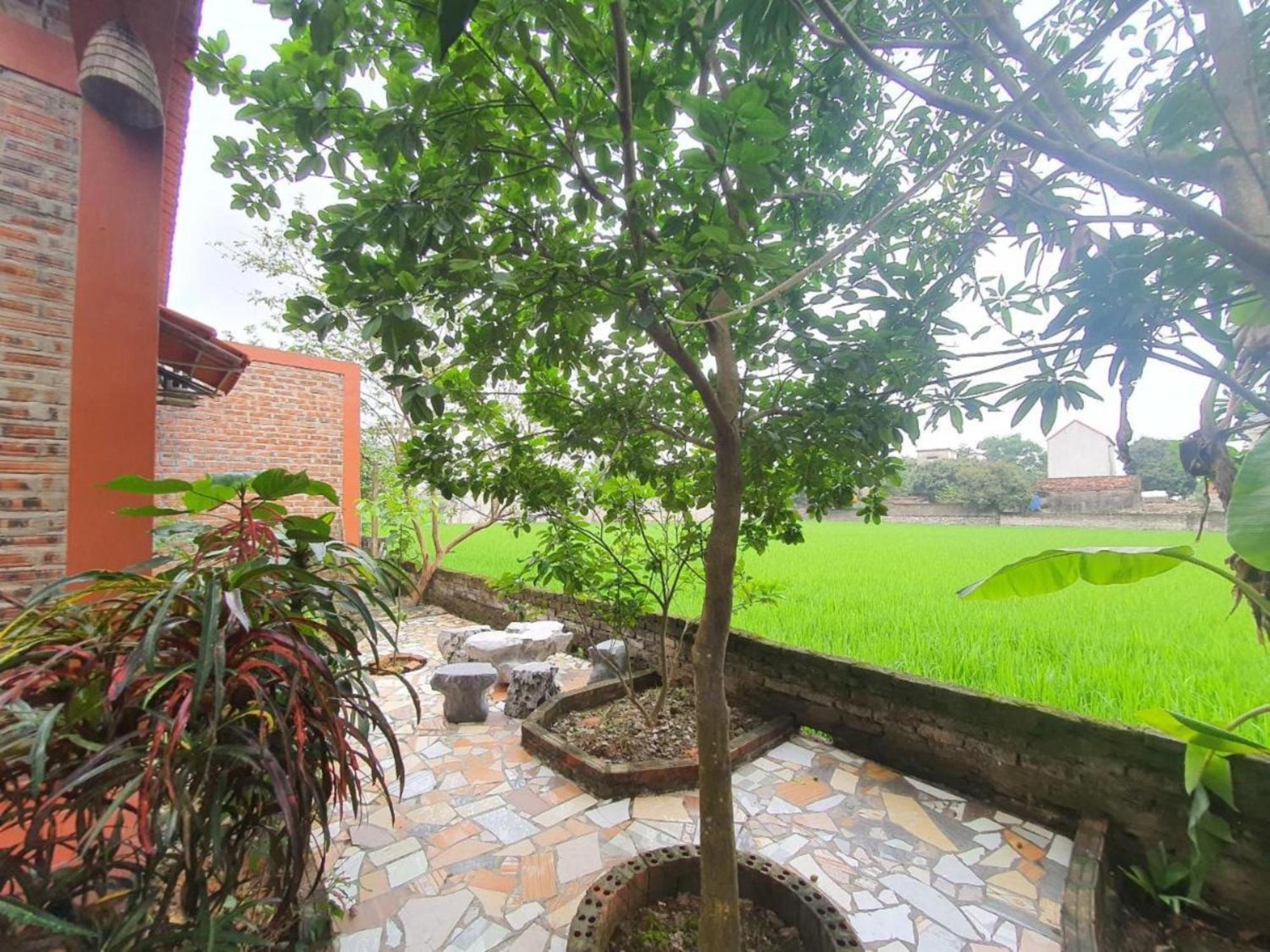 Trang An Garden Bungalow Ninh Bình Kültér fotó