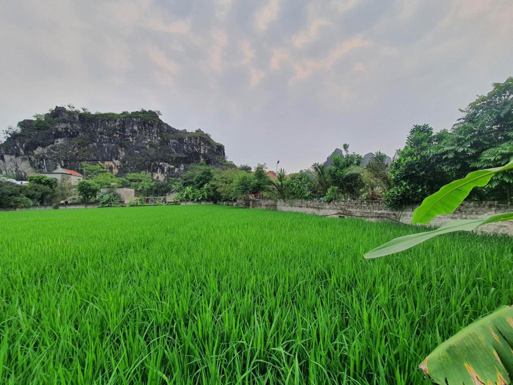 Trang An Garden Bungalow Ninh Bình Kültér fotó